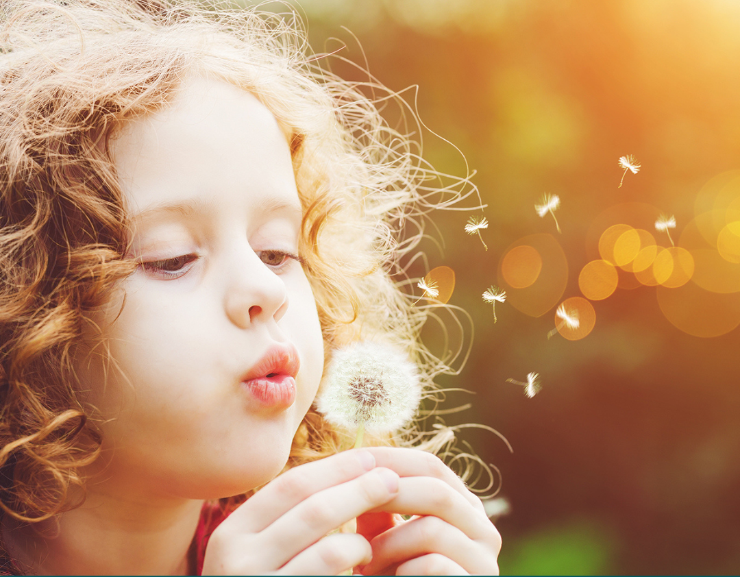 Announcing our Bord Bia Bloom Garden of Hope