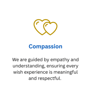 Volunteers embody the human connection that is essential to granting wishes. Their passion allows us to serve more children and deliver highly personalised experiences. They bring unique perspecti (9)